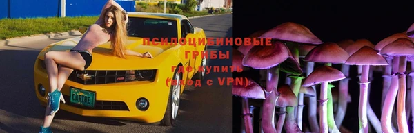 не бодяженный Алексин