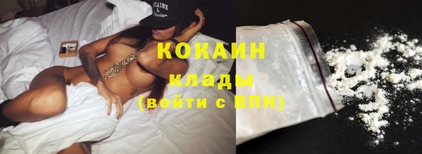 стаф Алзамай