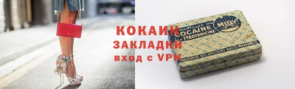 не бодяженный Алексин