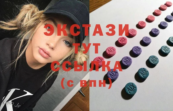 стаф Алзамай