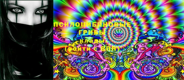 не бодяженный Алексин